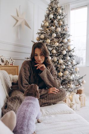 Woman in Knitted Outfit with Chihuahua and Christmas Treeの写真素材