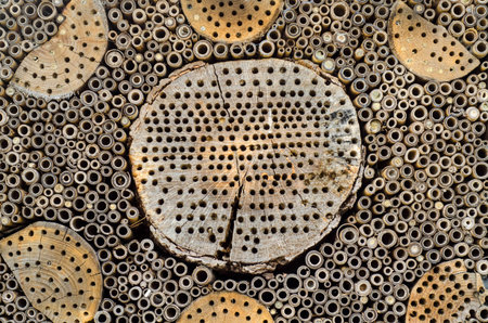 Decorative home for bees. House.