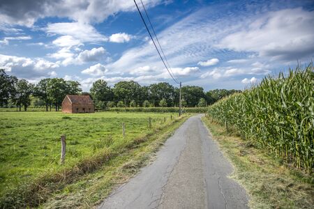 Rural farm road landscape. Farm land road view. Farm road in countryside scene. Rural country road view,の写真素材