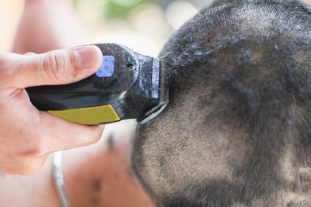 Haircut blur soft focus backgroundの写真素材