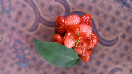 Water guava fruit with leaf on the batik tablecloth, top viewの写真素材