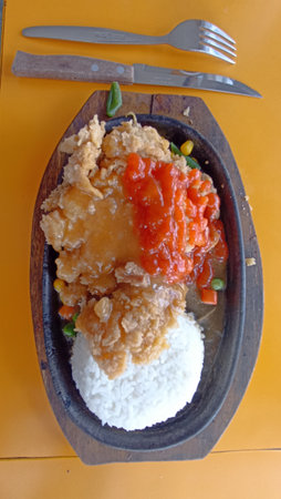 Rice with fried chicken in thai style on hotplate.の写真素材