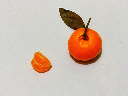 Tangerines on a white background.の写真素材