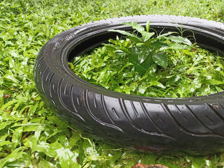 Tire on the grass in the garden with green grass background.の写真素材