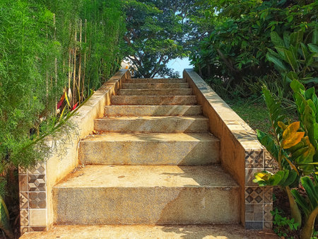 Staircase in the garden. Stone stairs in the park.の写真素材