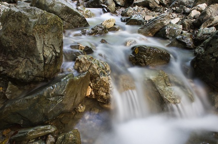 stream in a forest の写真素材