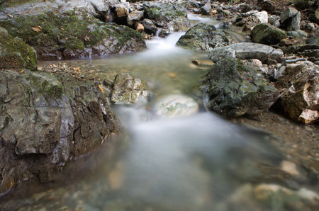 Mountain stream 