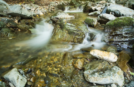 Mountain stream in a forest 