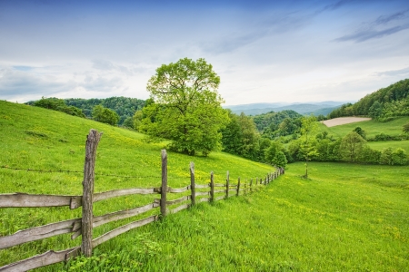Green planet - Earth の写真素材