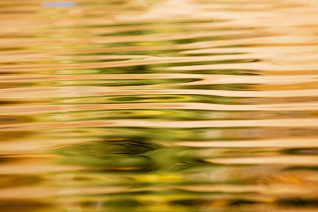 Golden reflection natureの写真素材