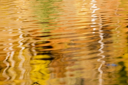 autumn reflected in water の写真素材