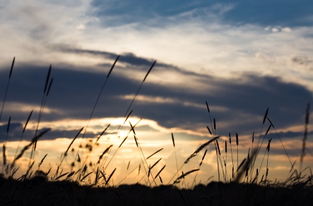 Beautiful Sunset の写真素材