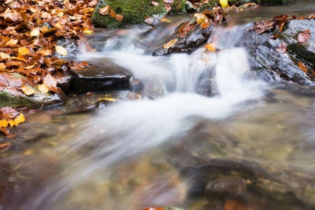 Stream in Autumn の写真素材