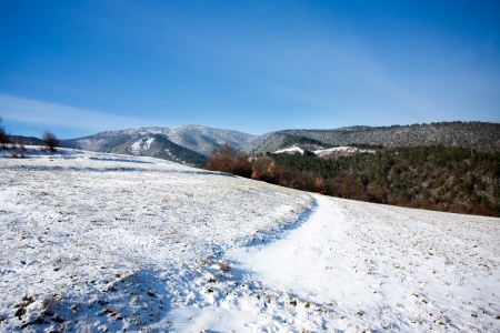 winter landscape の写真素材