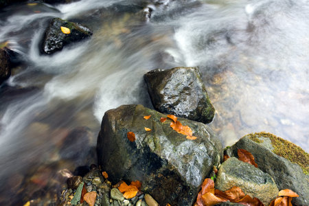 Creek in october