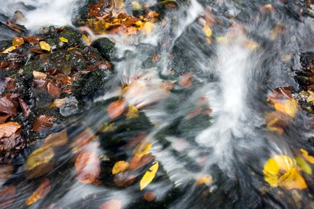 Creek the autumnの写真素材