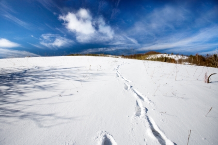 Winterの写真素材