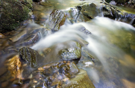The stream in forest, october