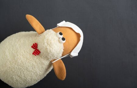 Soft toy sheep in a white medical mask on a gray background, diagonal position. Concept. COVID-19. Corona virus. Copy space. Top viewの写真素材