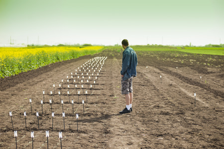 Parts of land for testing seedsの写真素材