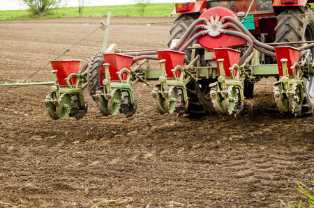 Planting soybean on fieldの写真素材