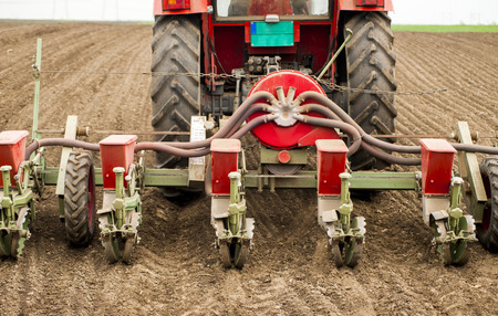 Planting soybean on fieldの写真素材