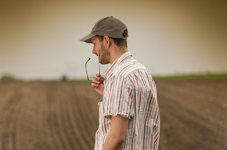 Planting soybean on fieldの写真素材