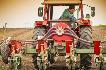 Planting soybean on fieldの写真素材