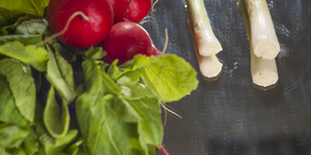 Bunch of radish and spring onionの写真素材