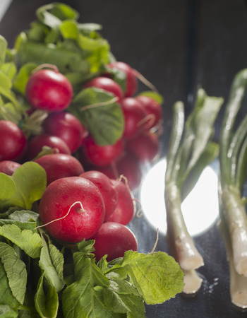 Bunch of radish and spring onionの写真素材