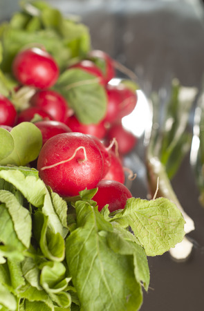 Bunch of radish and spring onionの写真素材