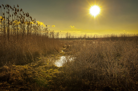 Landscape at winter timeの写真素材