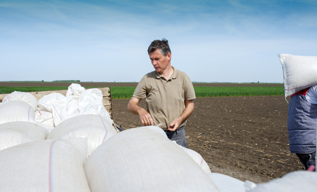 Work on field during soy planting timeの写真素材