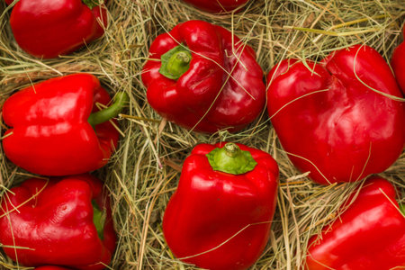 red background texture, group of red paprica bell peppers in market