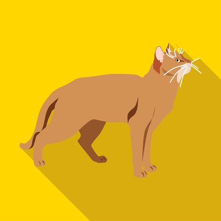 Cats of different breeds with long shadow. Picture style flatのイラスト素材
