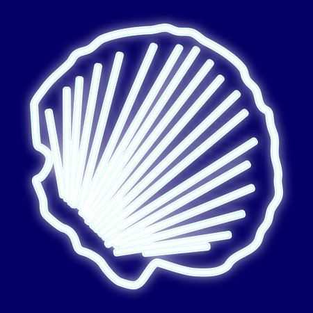 The picture of the clam shell. Icon with the effect of neon glow. Vector image.