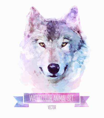 Vector set of watercolor illustrations. Cute wolfのイラスト素材