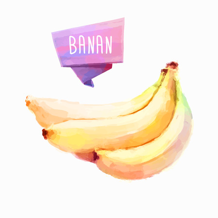 Banana hand drawn watercolor, on a white background.のイラスト素材