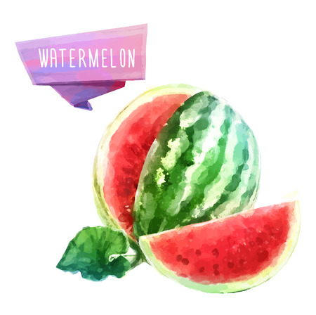 Watermelon hand drawn watercolor, on a white background.のイラスト素材