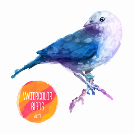 Watercolor exotic bird isolated on white background. Vector illustrationのイラスト素材