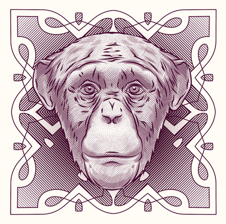 Engraving head of the monkey on the grunge background.  It may be used for design of a t-shirt, bag, postcard, tattoo a poster etc.のイラスト素材