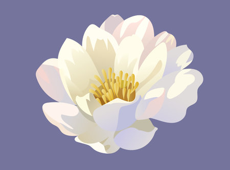 Vector flower for wedding invitation, elegant set of decorative design elements. Floral pastel vector style stock illustrationのイラスト素材