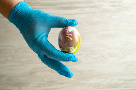 Easter egg in hands, hands wearing medical blue gloves.の写真素材