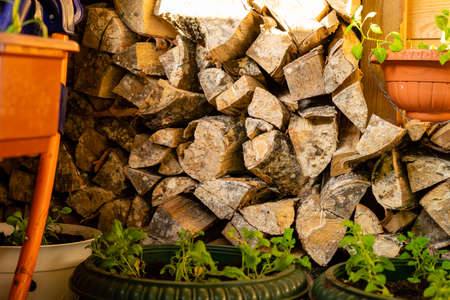 Chopped firewood lie neatly in a pile on a sunny summer dayの写真素材