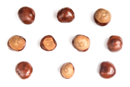 chestnuts or aesculus hippocastanum or conker tree nuts isolated on white background.の写真素材