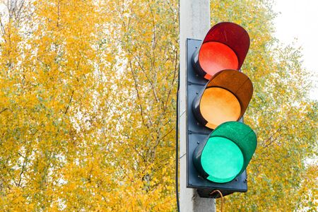 installed on cement pole in city near Park traffic light with lights on.の写真素材