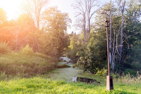 Quiet corner of Park in evening sun. Old forest and tall, dry trees against blue sky, some broken branches in pond. Rusty electric lantern on background of wild nature. For scenery, postcards.の写真素材