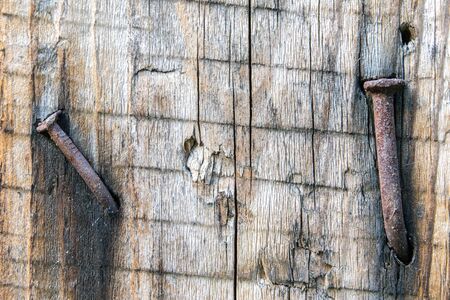 Texture of old weathered cracked board with rusty nails driven in with smudges close up.の写真素材