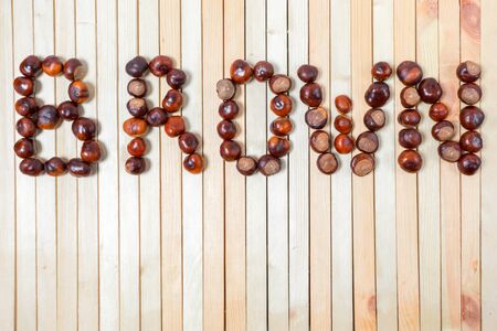 Word brown is laid out with ripe large shiny chestnuts close up on light wooden background top view with copy space and place for text, design.の写真素材