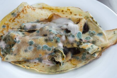 Mold on pancake. Spoiled inedible flour product affected by young fluffy white and green moldy fungi. Improper storage of products.の写真素材